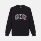 Dickies DK0A4XABJ941 AITKIN SWEATSHIRT BLK/PLUM PERFCT 195439946422