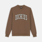 Dickies DK0A4XABJ961 AITKIN SWEATSHIRT MUSHROOM/CLOUD 195438993298.00