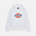 Dickies DK0A4XCBWHX1 ICON LOGO HOODIE WHITE 194904326325.00