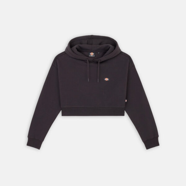 Dickies DK0A4XJTBLK1 OAKPORT CROPPED HOODIE BLACK 192825944215