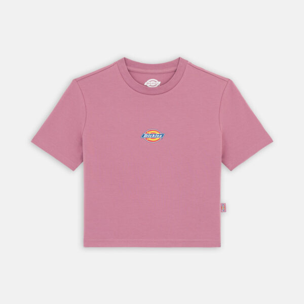 Dickies DK0A4XPOJ541 MAPLE VALLEY TEE MELLOW MAUVE 195438998446