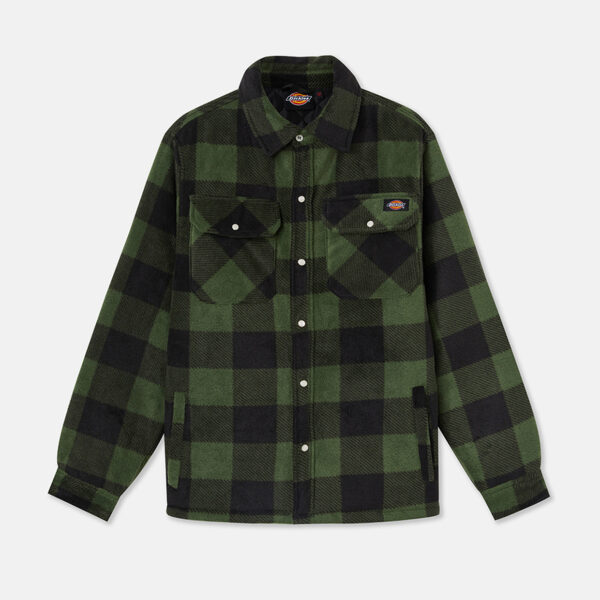 Dickies Workwear DK0A4XTAGR01 PORTLAND SHIRT GREEN 5059129200070