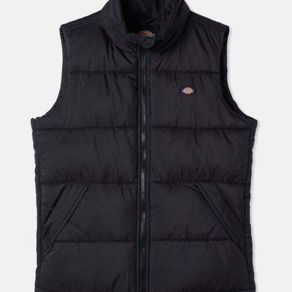 Dickies DK0A4Y2KBLK1 WALDENBURG VEST BLACK 196248295992