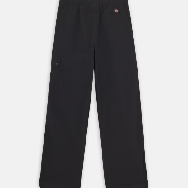 Dickies DK0A4YJCBLK1 JACKSON CARGO W BLACK 196010898321