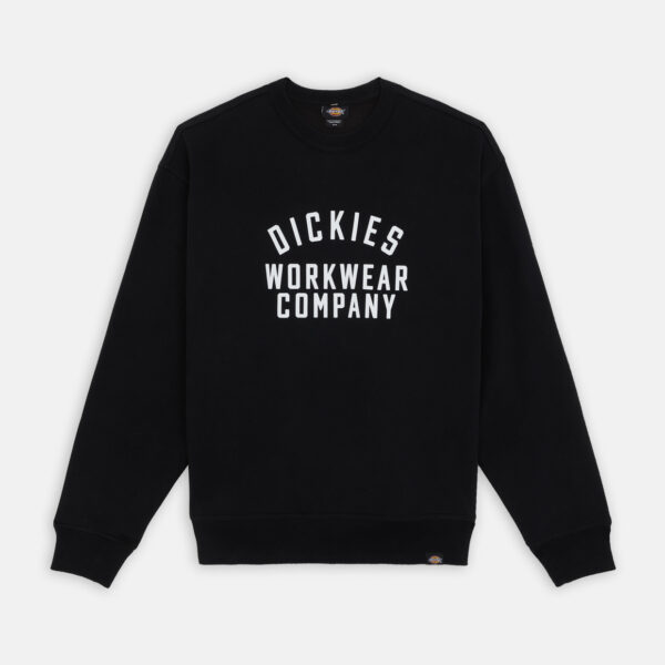 Dickies DK0A85STBLK1 SPLITZVILLE HOODIE BLACK 195439919969