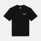 Dickies DK0A863DBLK1 DICKIES SCRIPT TEE SS BLACK 195439921085