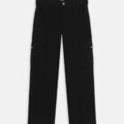 Dickies DK0A864SBLK1 DUCK CANVAS CARGO W BLACK 195439941168