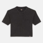 Dickies DK0A866FBLK1 PLENTYWOOD TEE SS W BLACK 195439942295