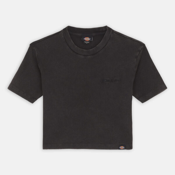 Dickies DK0A866FBLK1 PLENTYWOOD TEE SS W BLACK 195439942295