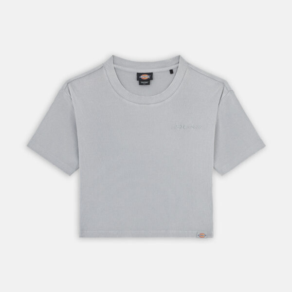 Dickies DK0A866FD061 PLENTYWOOD TEE SS W ULTIMATE GRAY 195439942226