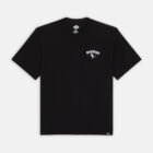 Dickies DK0A863GBLK1 DICKIES GOOSE TEE SS BLACK 195439923270