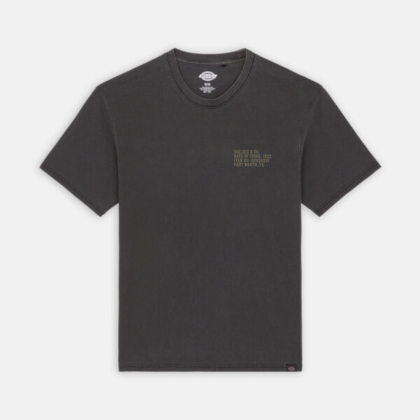 Dickies DK0A863HBLK1 DICKIES STAMP TEE SS BLACK 195439923607