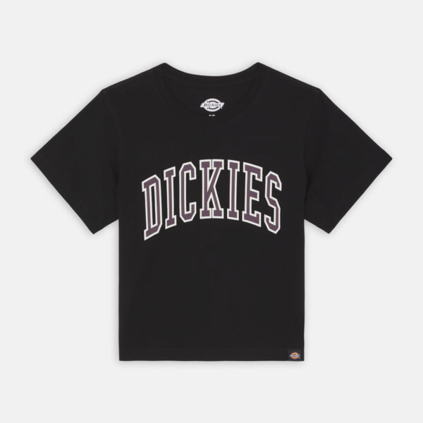 Dickies DK0A4YS8J941 AITKIN TEE BLK/PLUM PERFCT 196520304671