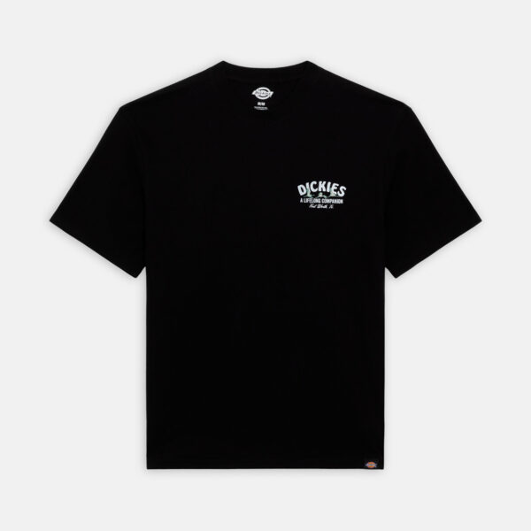 Dickies DK0A4Z3PBLK1 DICKIES COMPANION TEE SS BLACK 195439918641