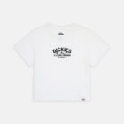 Dickies DK0A863K0WH1 DICKIES COMPANION TEE SS W WHITE 195439923027