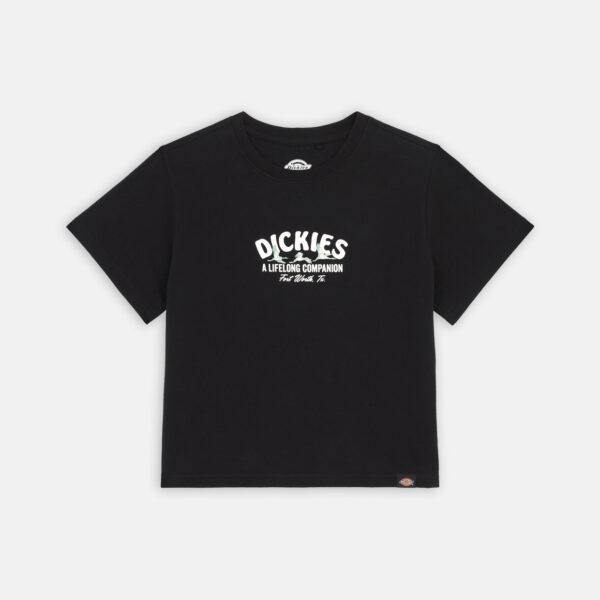 Dickies DK0A863KBLK1 DICKIES COMPANION TEE SS W BLACK 195439922709