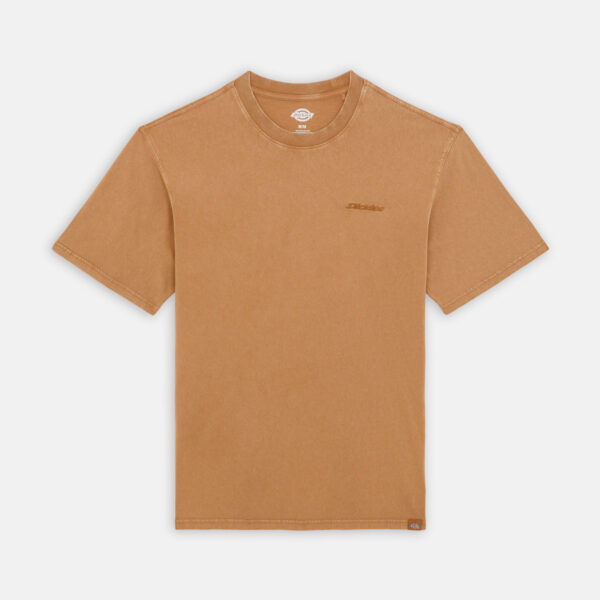 Dickies DK0A866B0BD1 PLENTYWOOD TEE SS BROWN DUCK 195439941885