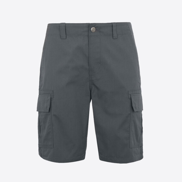 Dickies DK0A4XEDCH01 MILLERVILLE SHORT CHARCOAL GREY 196246612579